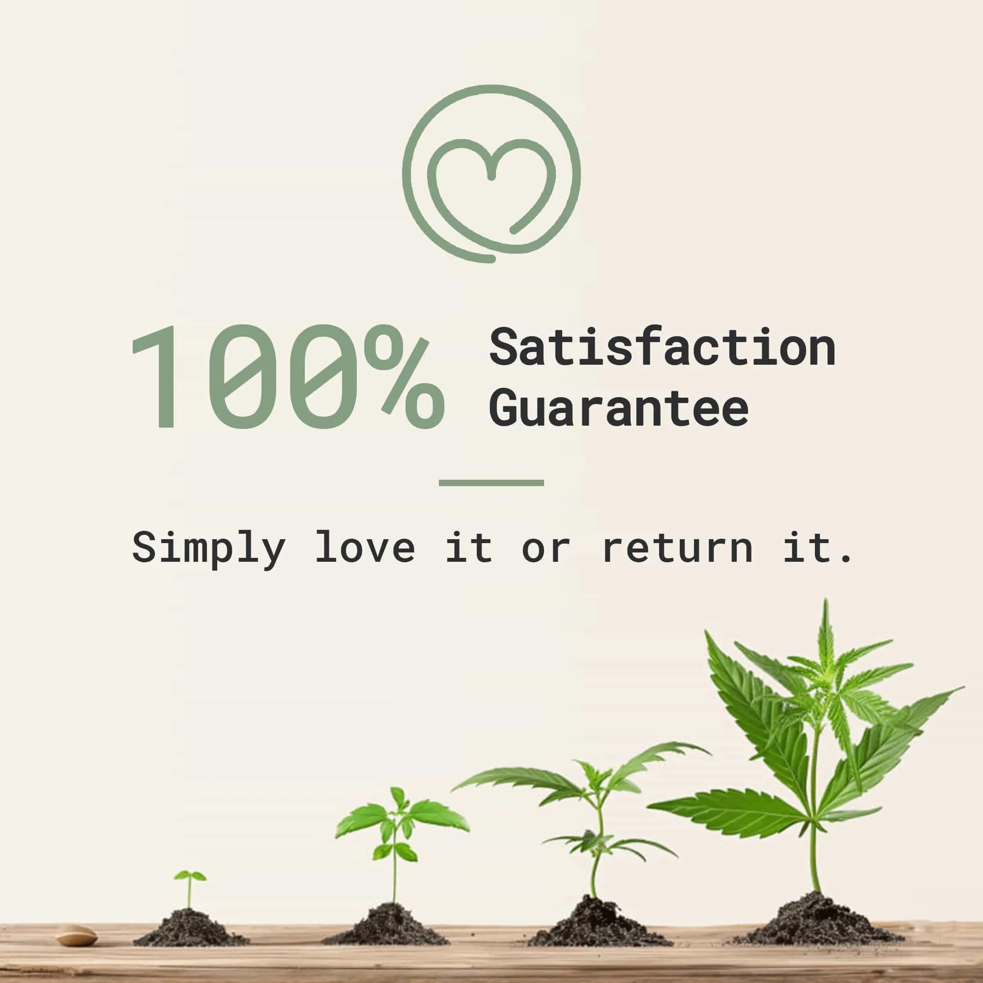 CBD Dog Treats