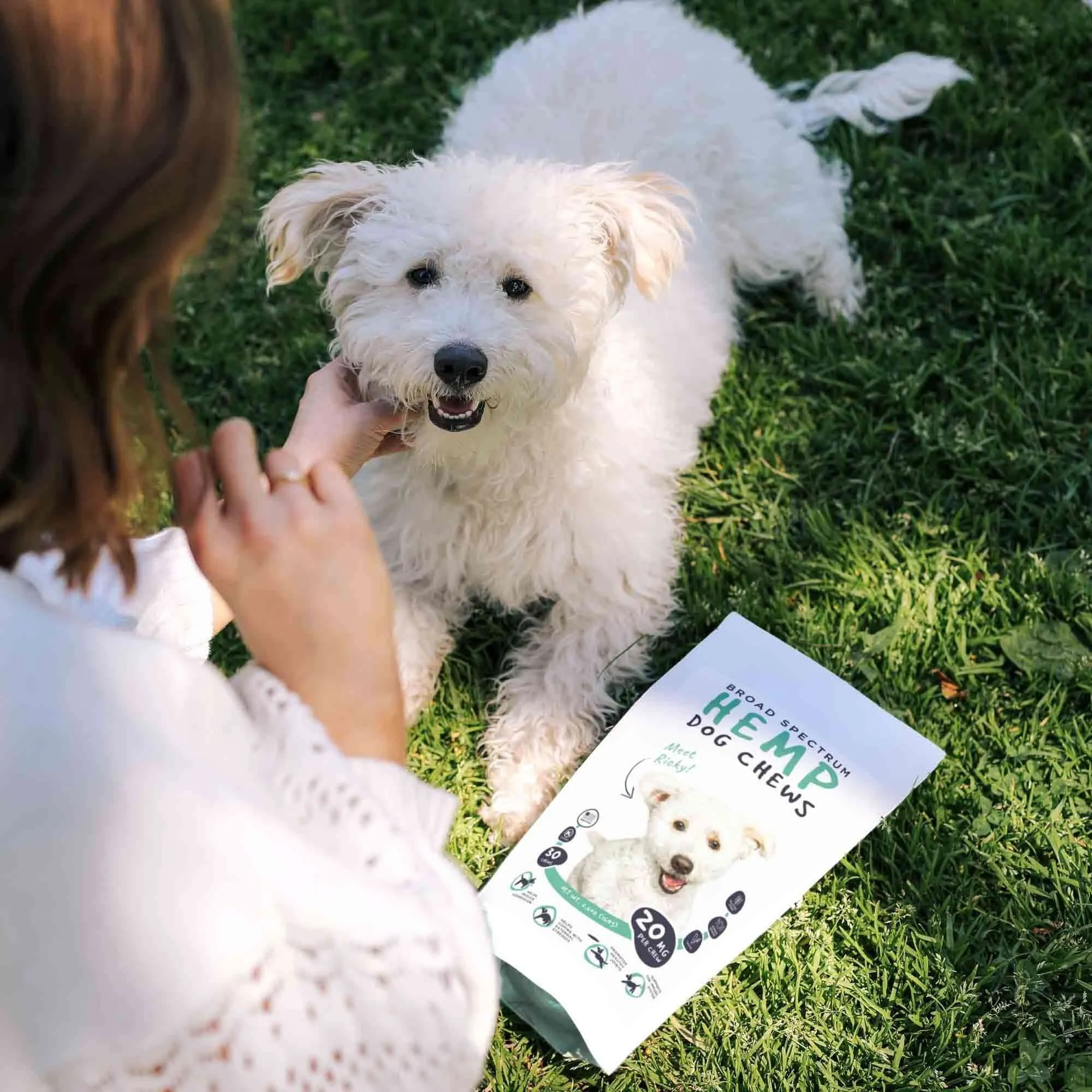 CBD Dog Treats