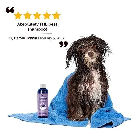 Colloidal Oatmeal Dog Shampoo with Pure Lavender Essential Oils - No Tear Shampoo for Dry Itchy Skin Relief - Pet Odor Eliminator - Grooming Shampoo