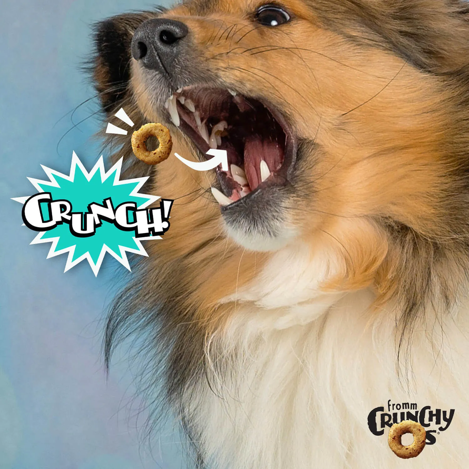 Crunchy Os Banana Kablammas Flavor Dog Treats - 6 oz.