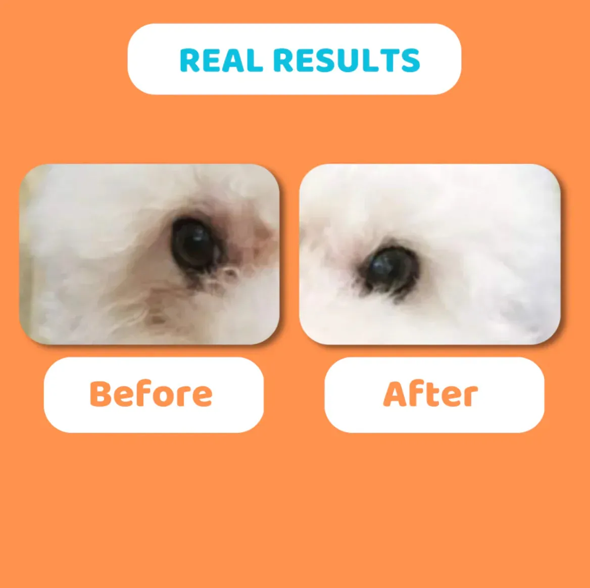 Dogslife Antibacterial Eyewash Drops