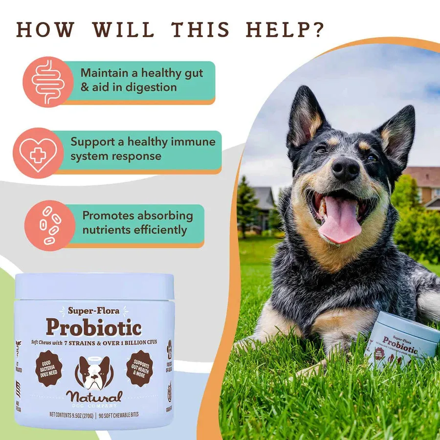Natural Dog Company Super-Flora Probiotic Supplement - Wholesale