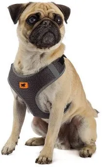 NIKITA P BLACK