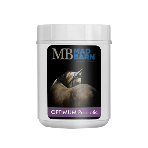 Optimum Probiotic