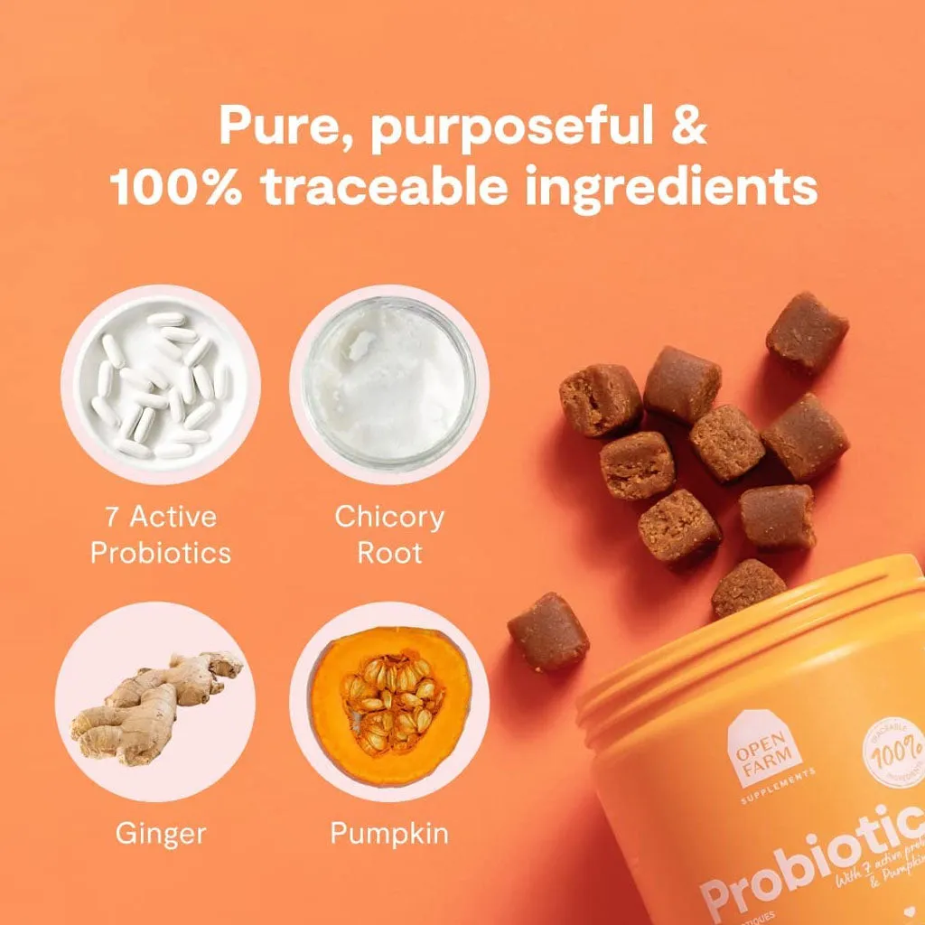 Probiotic Supplement 90ct