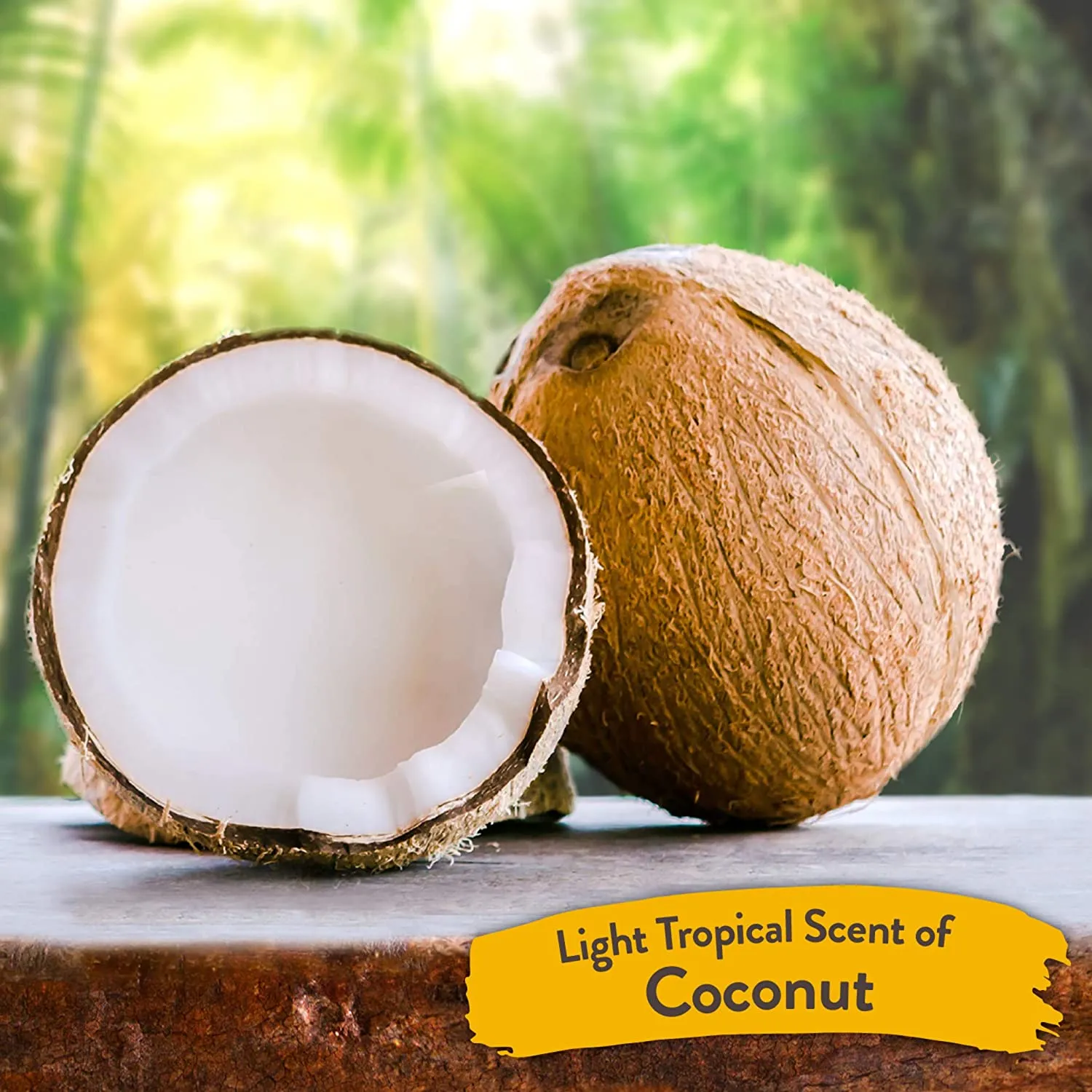 Tropiclean Gentle Shampoo, Coconut, 355 ml…