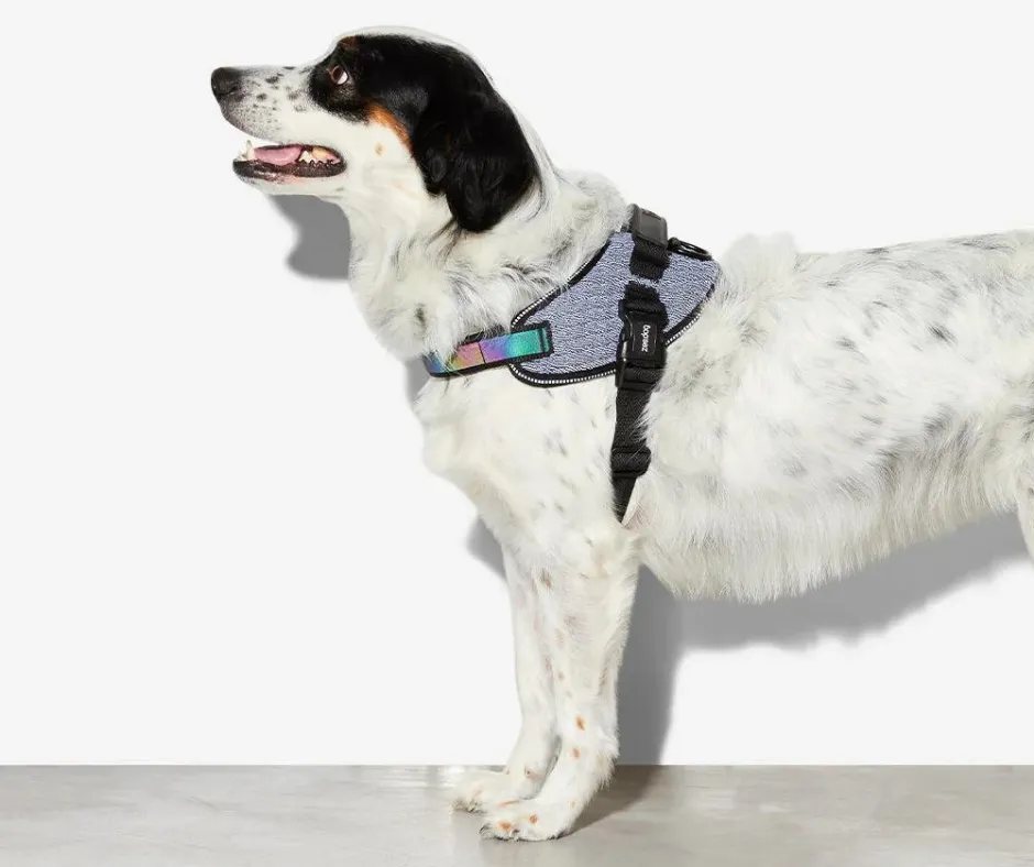 ZEE.DOG Fly Harness - Urban - Size 3